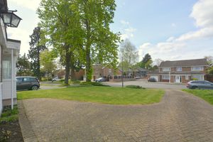 Photo 2- click for photo gallery